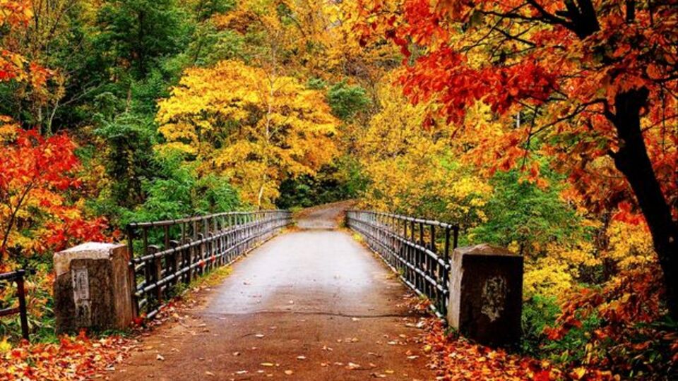 Sonbahar Ekinoksu'nda ne meydana geliyor?