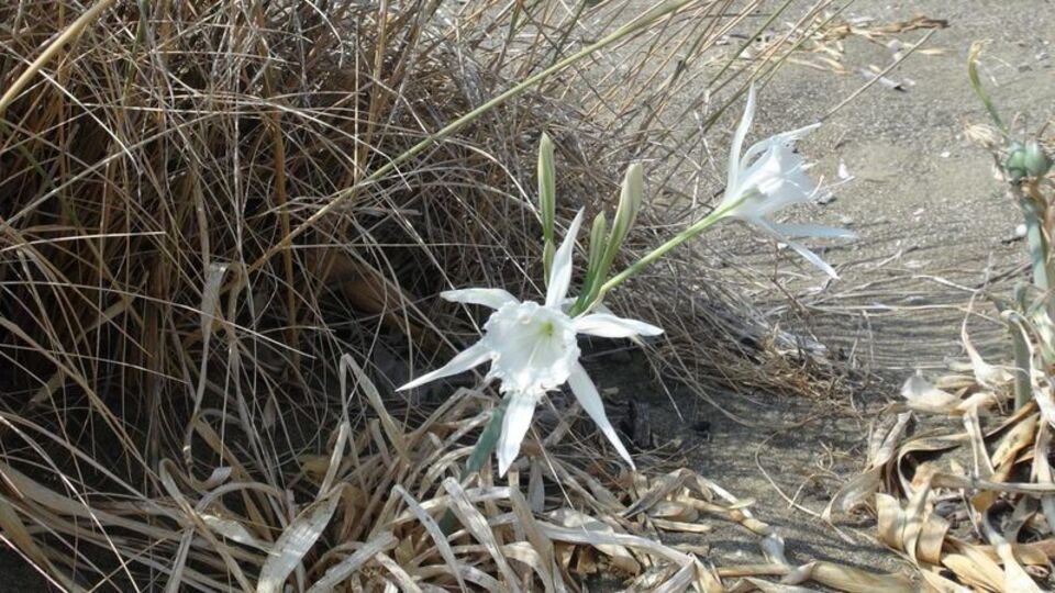Dokunmayın! Cezası73 bin TL