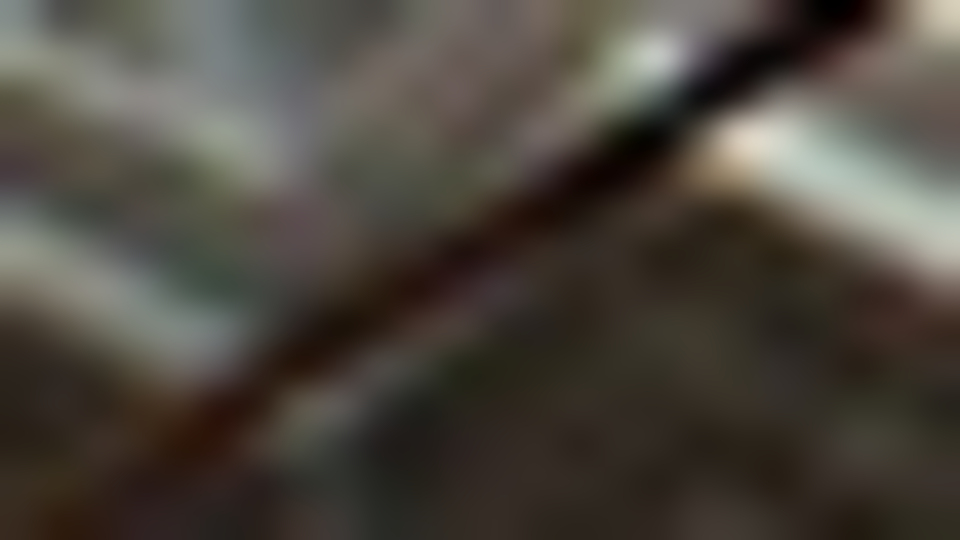 Bulgaristan, 2 Rus diplomatı "istenmeyen kişi" ilan etti