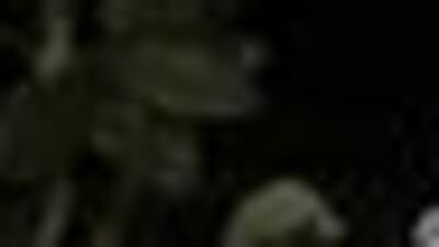 'Doktorlara yalvardım'