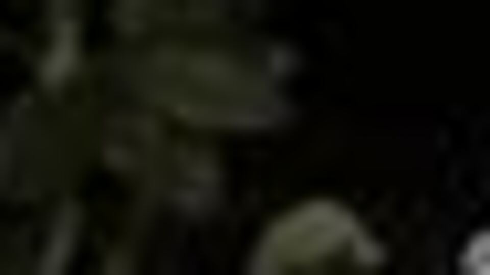 'Doktorlara yalvardım'