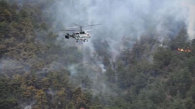 Eskişehir'deki orman yangını kontrol altında