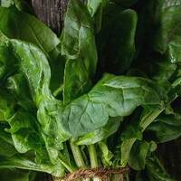 Ispanağın besin içeriği ve sağlığa yararları