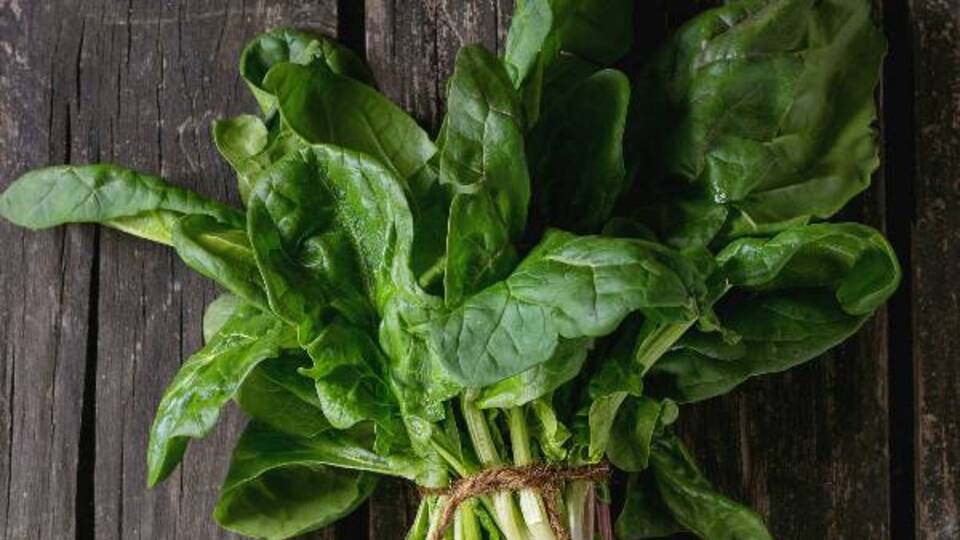 Ispanağın besin içeriği ve sağlığa yararları