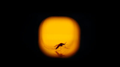 Salgını önceden bilecek!