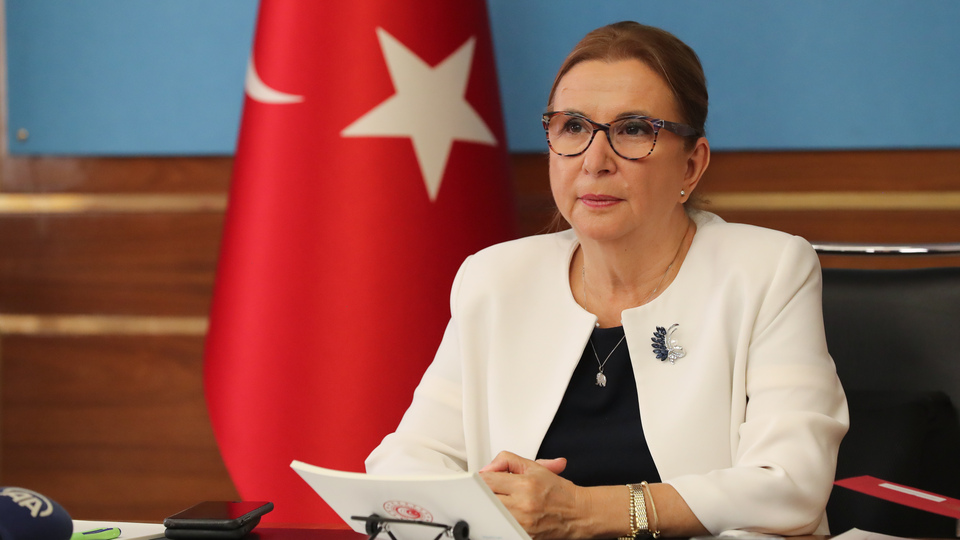 144 şirket ilk kez listede