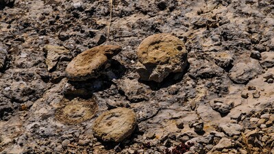 Milli sporcu bisiklet antrenmanı yaparken keşfetti