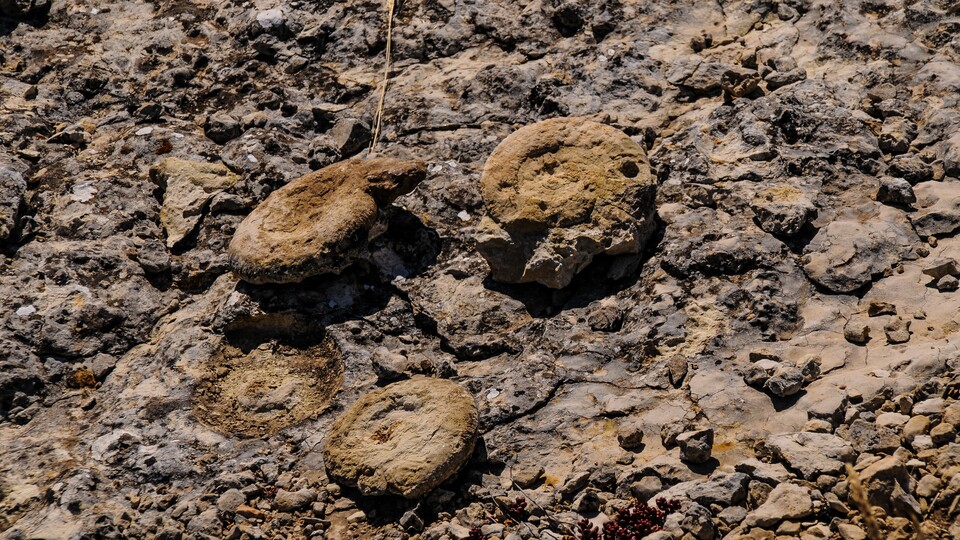 Milli sporcu bisiklet antrenmanı yaparken keşfetti