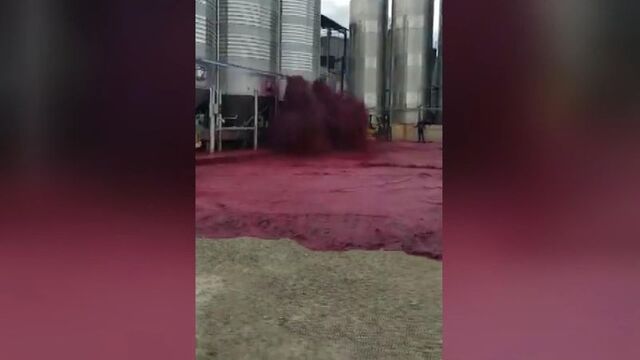 50 bin litre şarap sokağa döküldü!