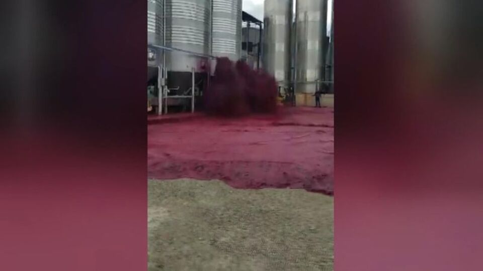 50 bin litre şarap sokağa döküldü!