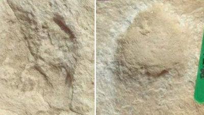 Çölde tespit edildi... 120 bin yıllık!