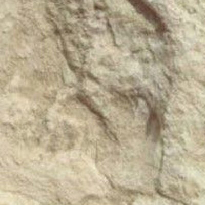 Çölde tespit edildi... 120 bin yıllık!