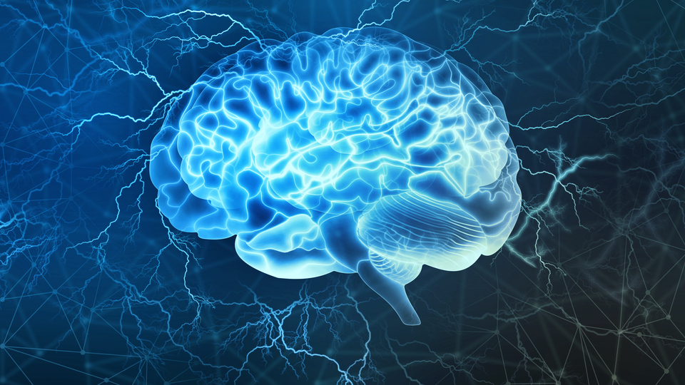 Üniversiteliler başardı! O hastalık şapkadan teşhis edilecek