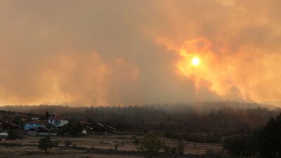 Bolu'daki orman yangını kontrol altında