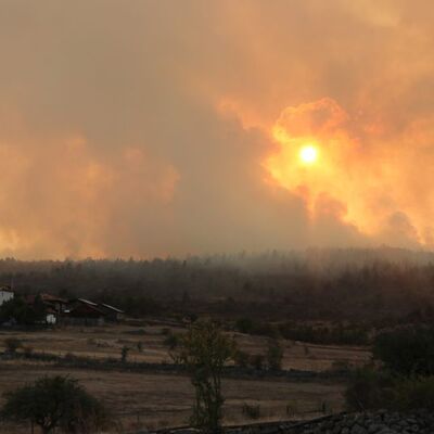 Bolu'daki orman yangını kontrol altında