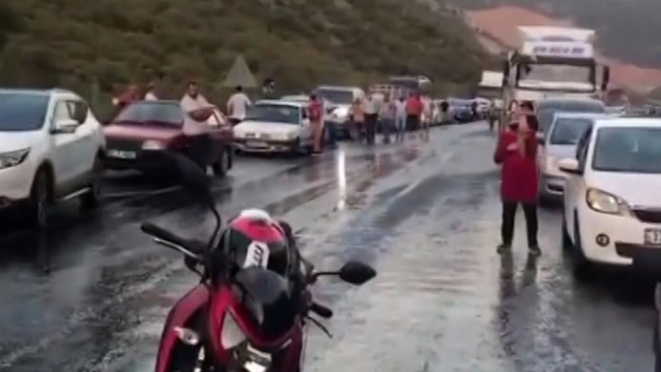 Dorsenin kapağı açıldı, tonlarca balık yola saçıldı