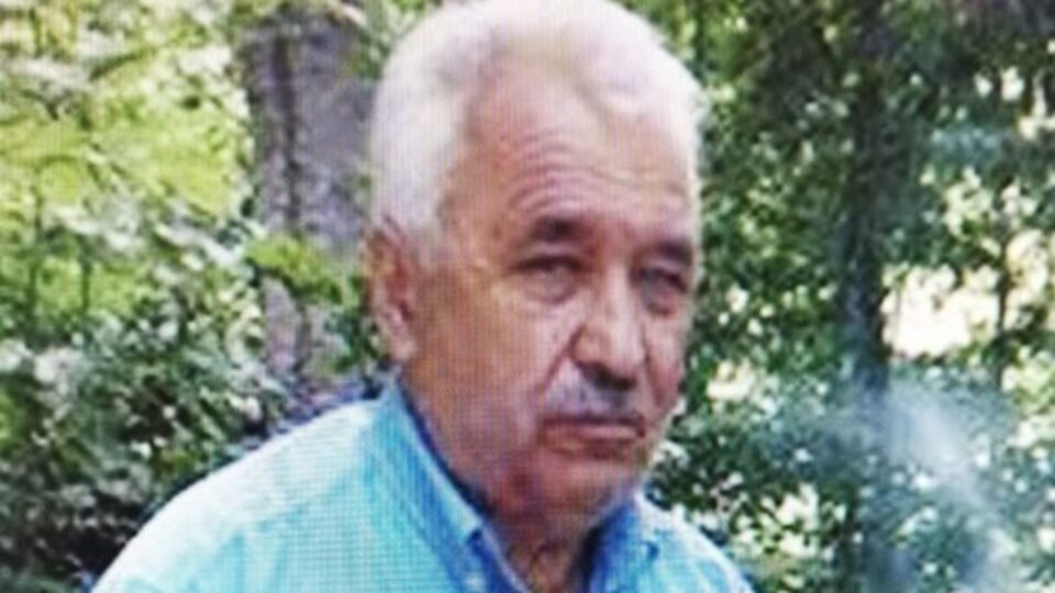 Oğlunun kestiği ağacın dalı başına düşen adam öldü