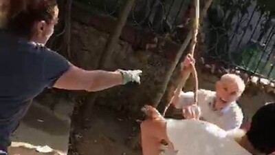 Komşudan anne ve oğluna sopalı saldırı!