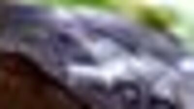 İşte vücudun hastalıklara karşı kalkanı