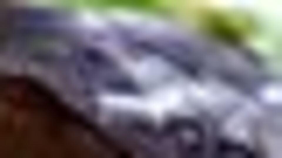 İşte vücudun hastalıklara karşı kalkanı