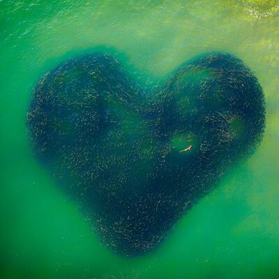 Drone ile kaydedildi... 2020'nin en iyisi!