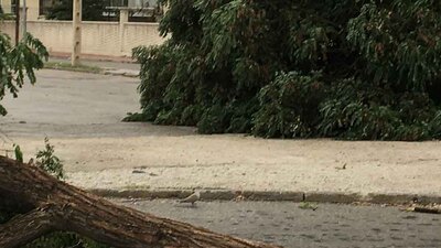 Meteoroloji'den 5 il için uyarı!