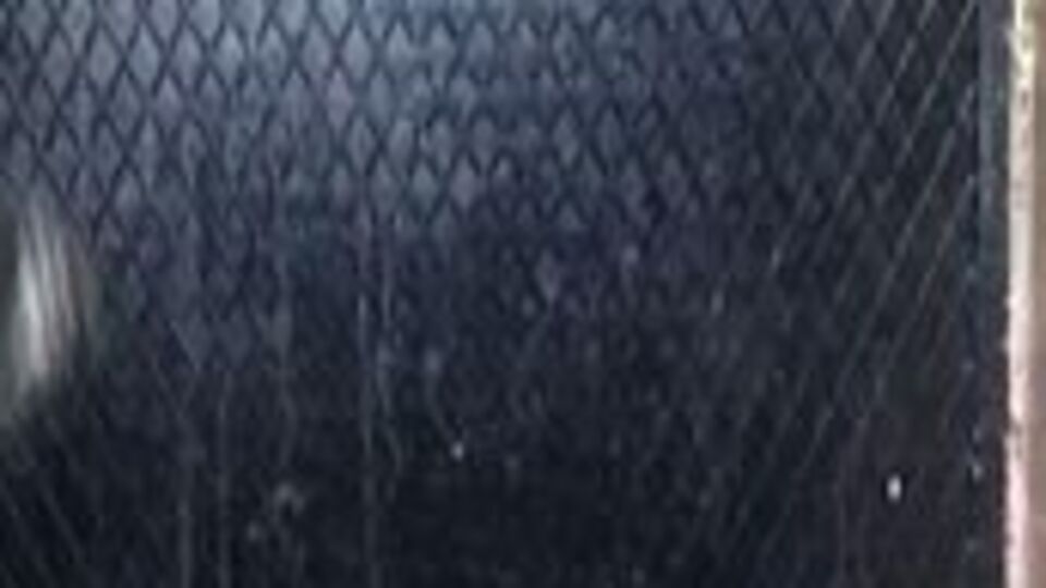 12 ByLock şüphelisi yakalandı