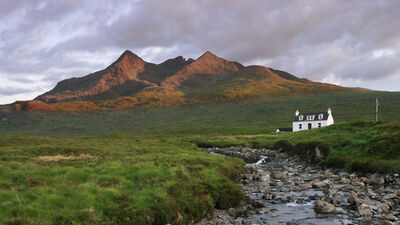 Serenay Sarıkaya ve Cem Yılmaz da aralarına katıldı