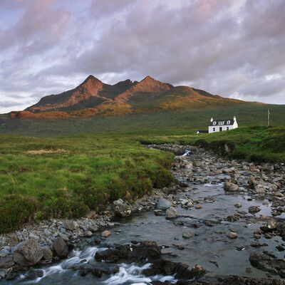 Serenay Sarıkaya ve Cem Yılmaz da aralarına katıldı