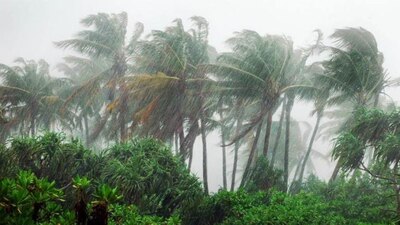 Dünyadaki iklimler ve iklim türleri