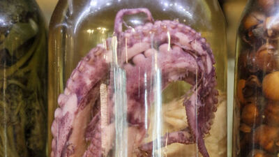 Turşusunu yaptı Ruslar bayıldı!