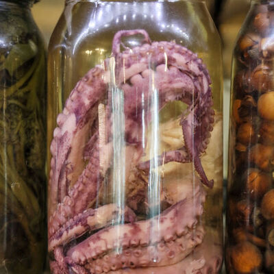 Turşusunu yaptı Ruslar bayıldı!