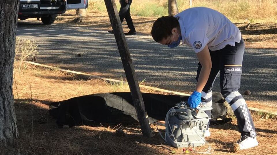 Çam ağacı tepesinde yandı!