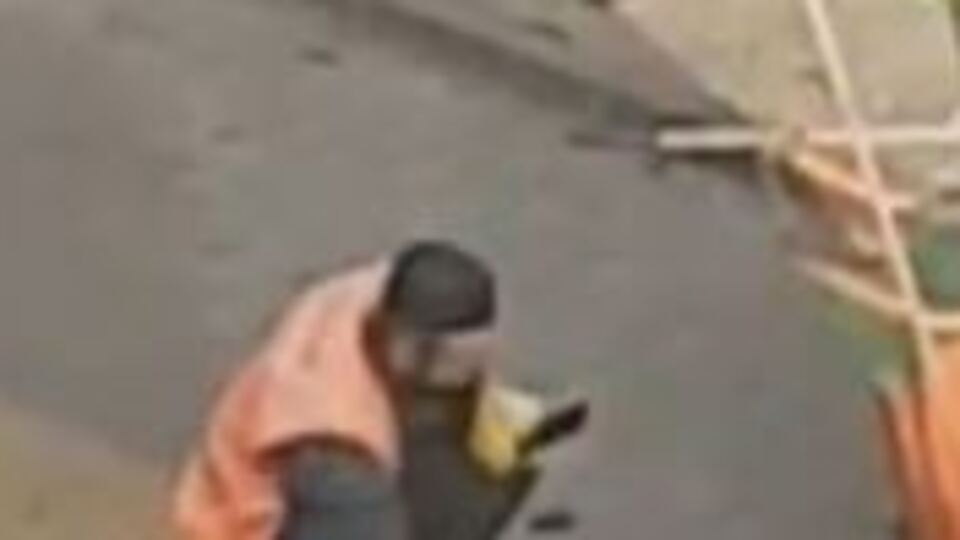 Temizlik görevlisinin kargayı beslediği anlar kamerada