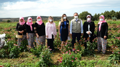 Bursa'da ekinezya ekecekler