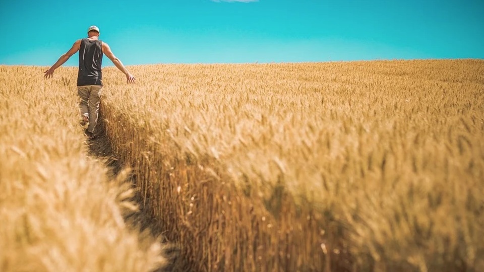 ÖİB, 27 ilde 107 taşınmazı ihale edecek