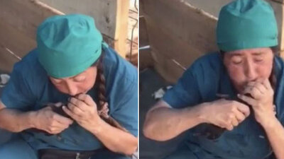 4 yavru köpek ölü doğdu! Sonrası inanılmaz!