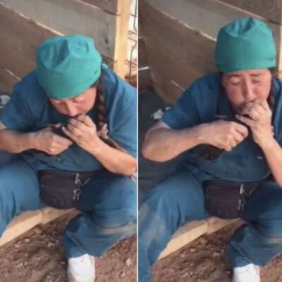 4 yavru köpek ölü doğdu! Sonrası inanılmaz!