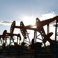 Petrole Trump darbesi