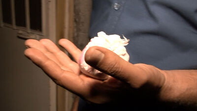 Başkent'te huzur operasyonu: 318 uyuşturucu hap bulundu