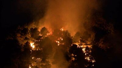 Aydos Ormanları'nda korkutan yangın