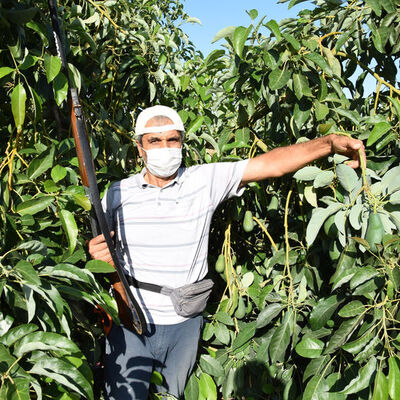 "Cesareti olan varsa buyursun gelsin!"