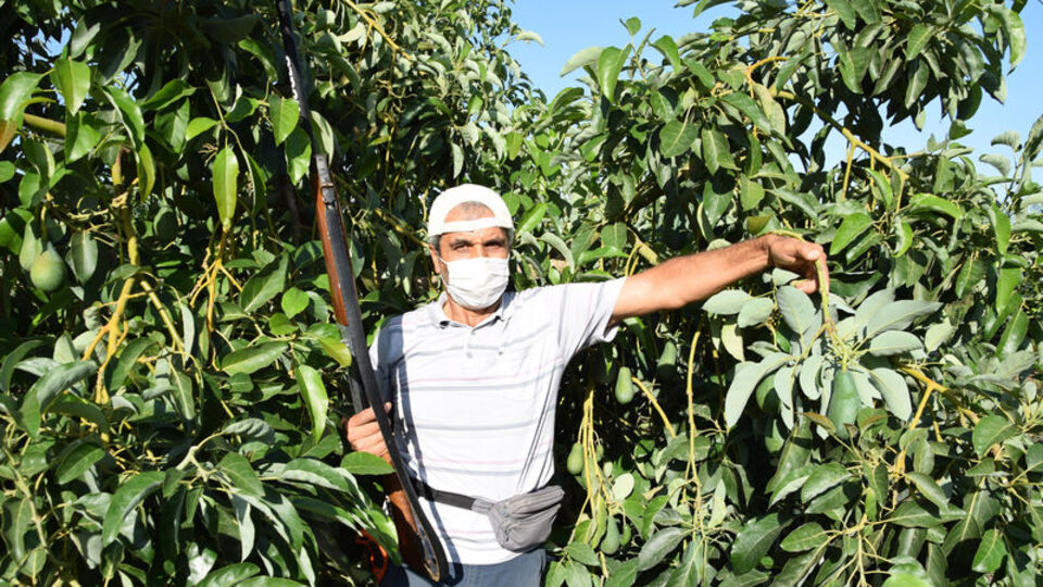 "Cesareti olan varsa buyursun gelsin!"