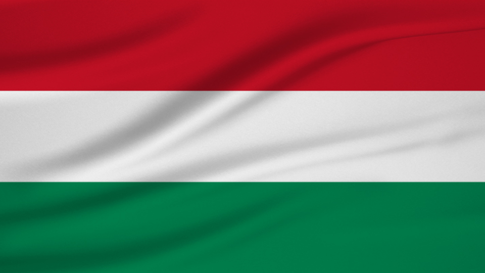 Macaristan'dan Azerbaycan açıklaması!