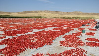 Diyarbakır'dan İtalya'ya gidiyor