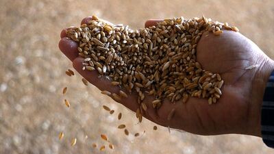 TÜRKTOB'dan tohum uyarısı