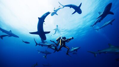 İnsanlığa yeni bir dünya sundu