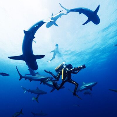 İnsanlığa yeni bir dünya sundu