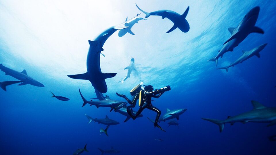 İnsanlığa yeni bir dünya sundu