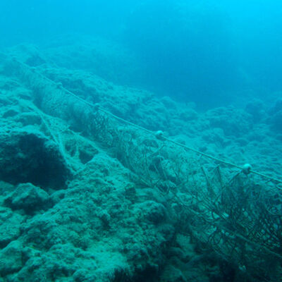 Denizde ekosistemi çökerten 'hayalet'